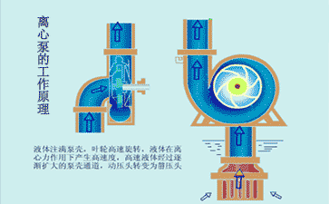 離心泵工作原理動(dòng)畫(huà)