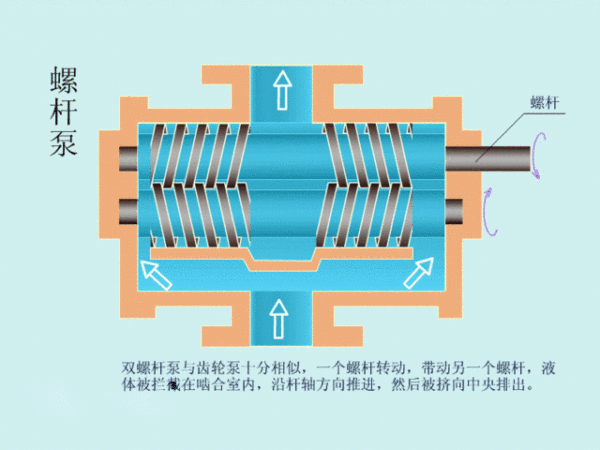 螺桿泵工作原理動(dòng)圖